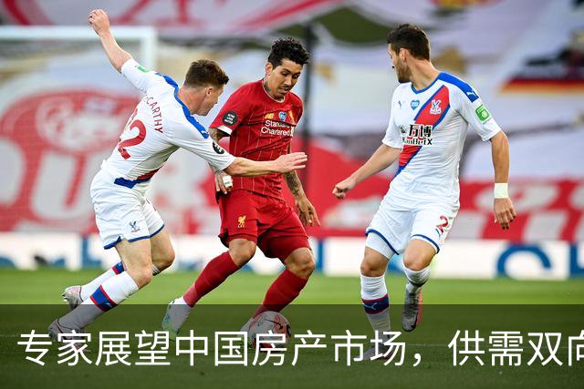 专家展望中国房产市场，供需双向政策将影响未来走势